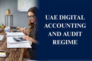 UAE digital accounting and audit regime with AI and blockchain